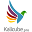 Kalicube Pro