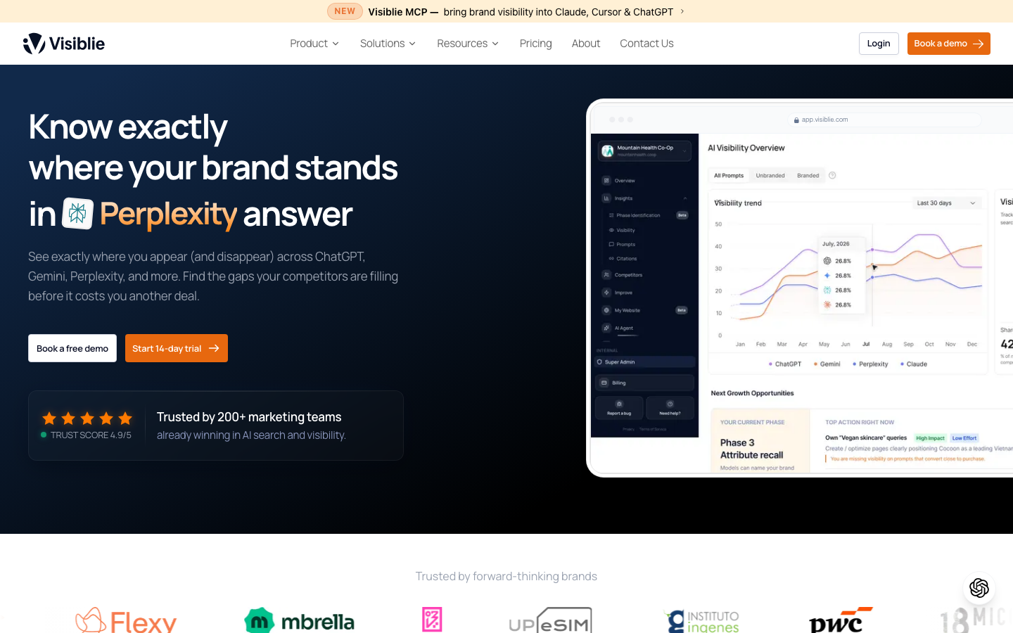 Visiblie dashboard screenshot